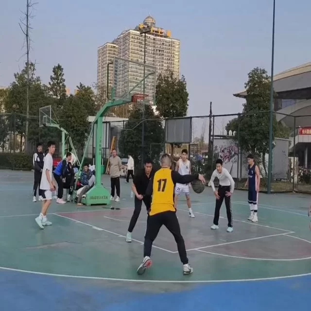 运动员复出新动态，年轻化趋势引关注